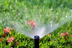 submersible pumps for gardening